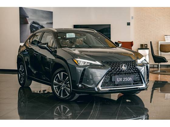LEXUS UX 250h 2.0 VVT-I HYBRID LUXURY CVT